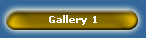 Gallery 1