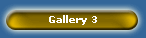 Gallery 3