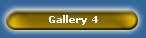 Gallery 4