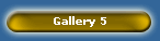 Gallery 5